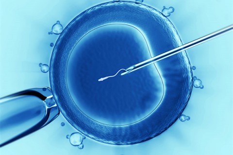 http://lanzhou.vdtfzz.com/post/198.html|兰州代生助孕