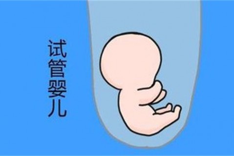 http://lanzhou.vdtfzz.com/post/194.html|兰州新闻中心