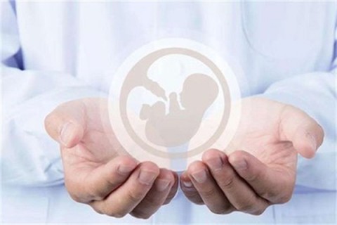 http://lanzhou.vdtfzz.com/post/214.html|兰州人工试管